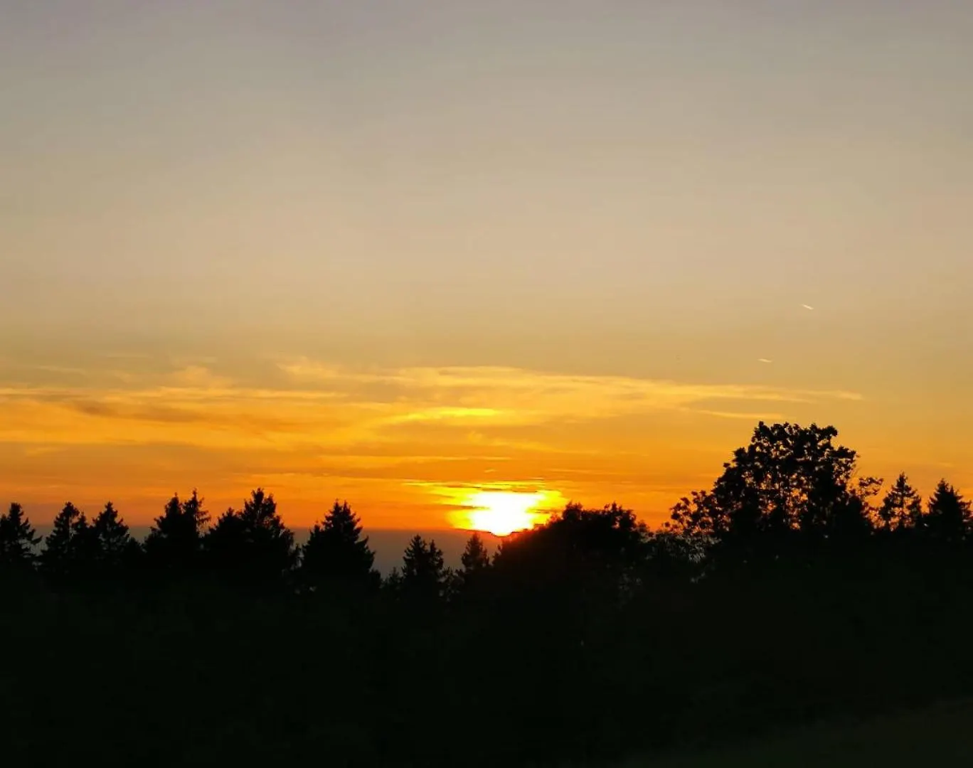 Troidkasten Am Grandsberg Schwarzach