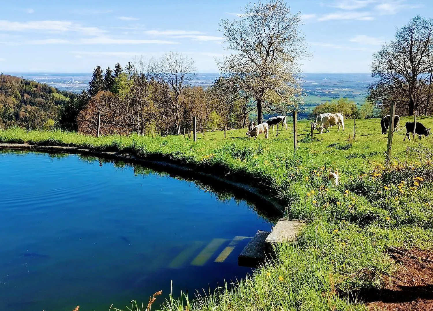 Troidkasten Am Grandsberg Schwarzach Holiday home